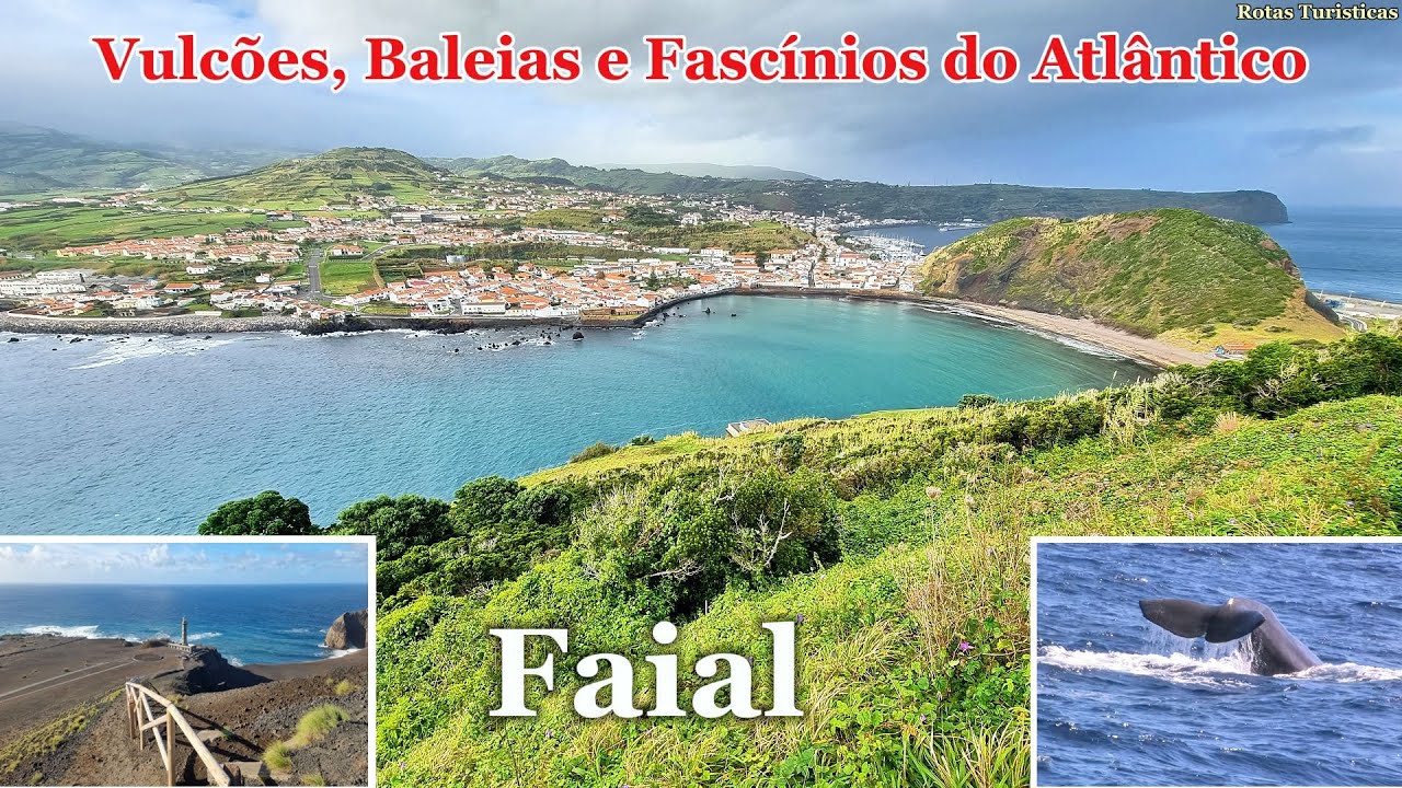 Faial: Entre Vulc&otilde;es, Baleias e Fasc&iacute;nios do Atl&acirc;ntico