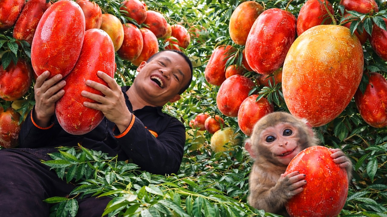 Dwarf Family Harvests Silverberries & Hunts with Monkey | Survival Skills Adventure