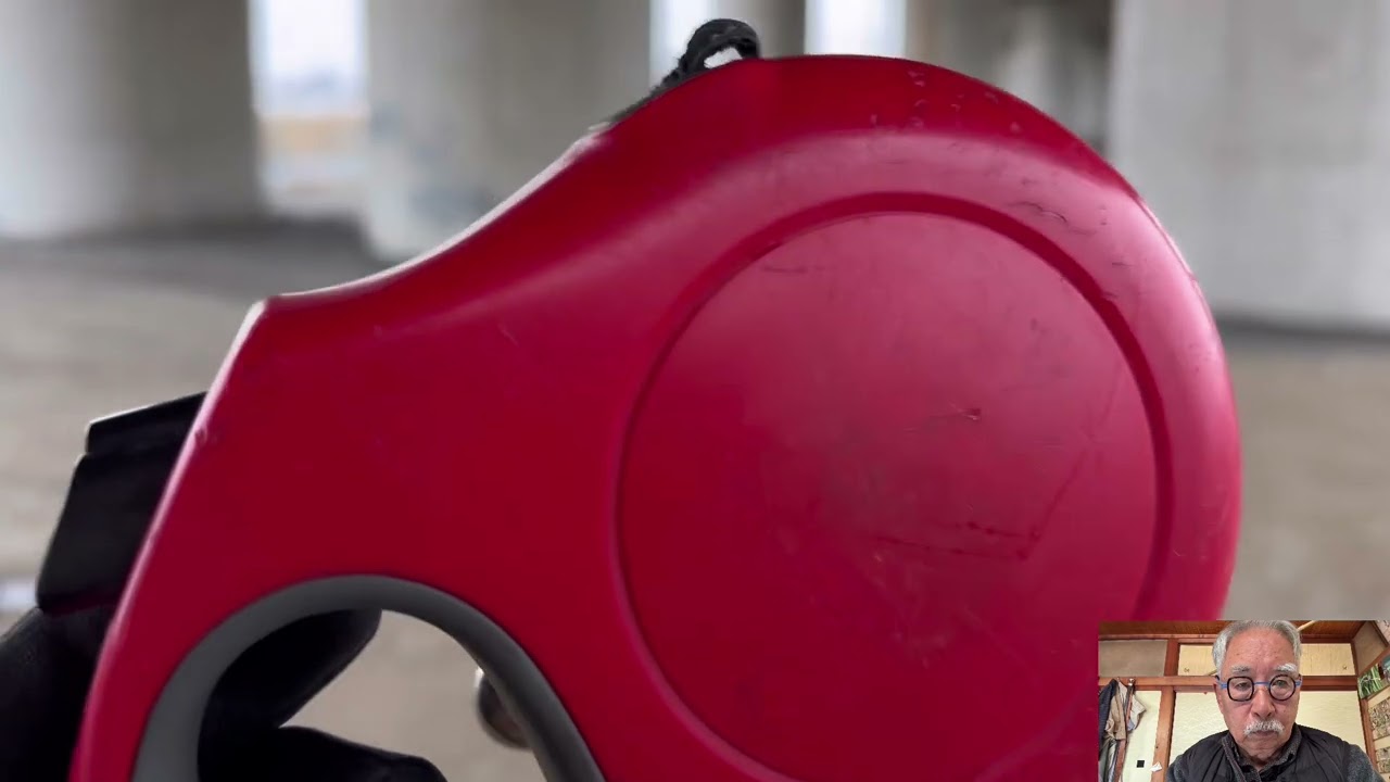 街の環状線と両毛線の交差付近で