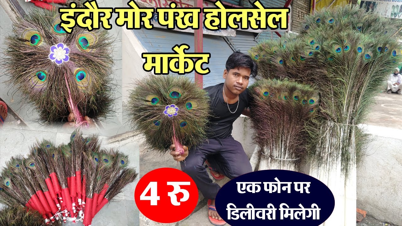 Indore Wholesale mor pankh Market || peacock feather ||