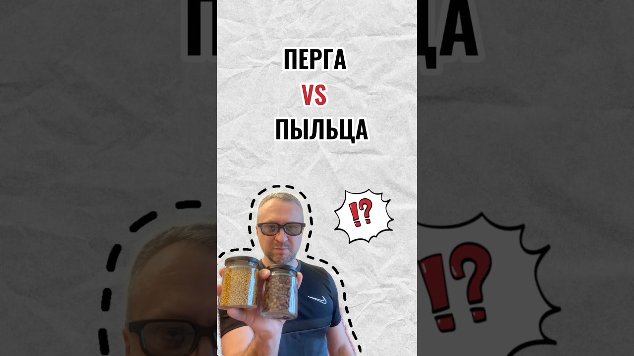 ПЕРГА ИЛИ ПЫЛЬЦА - ЧТО ЛУЧШЕ? #bee #apiary #мёд #перга #пыльца #хлебина #beepolline