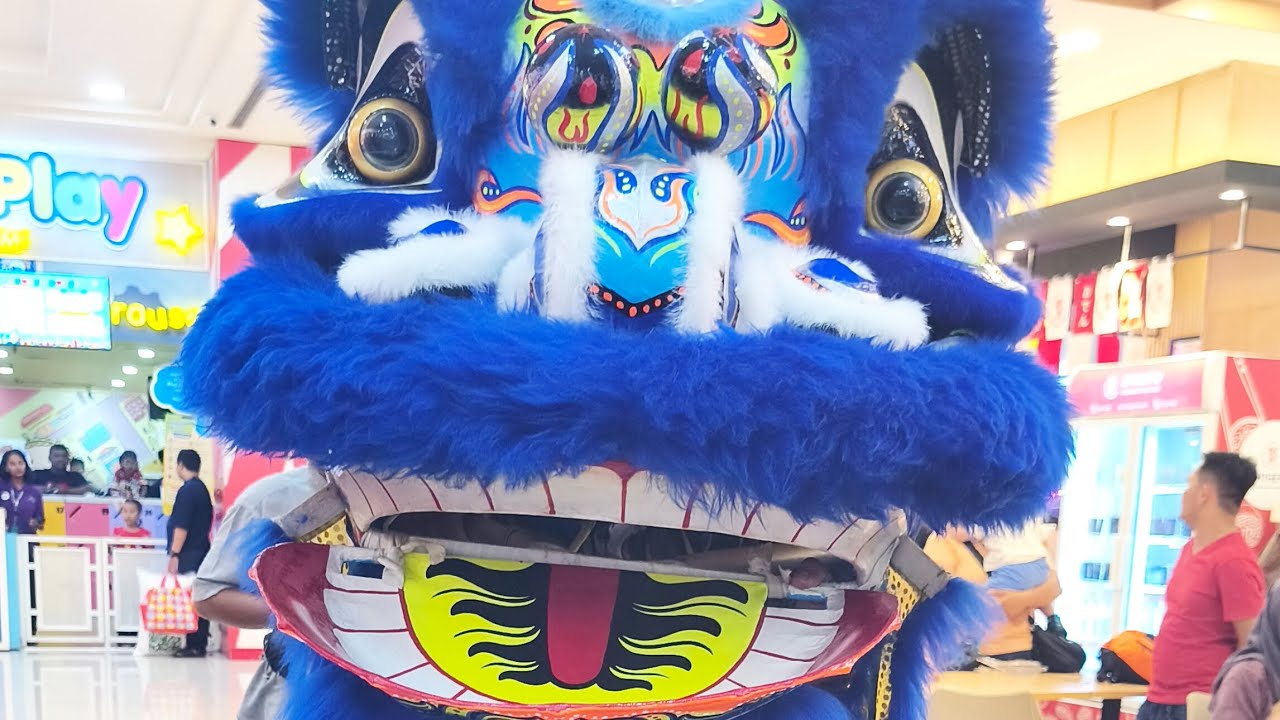 Atraksi Barongsai Berburu Angpao #barongsai #chinesenewyear #angpao #imlek #atraksi #performance