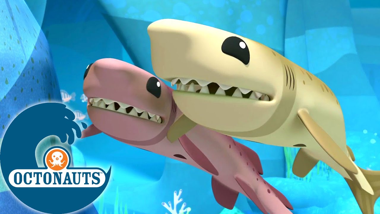 Octonauts - Les squalelets f&eacute;roces | Dessins anim&eacute;s pour enfants
