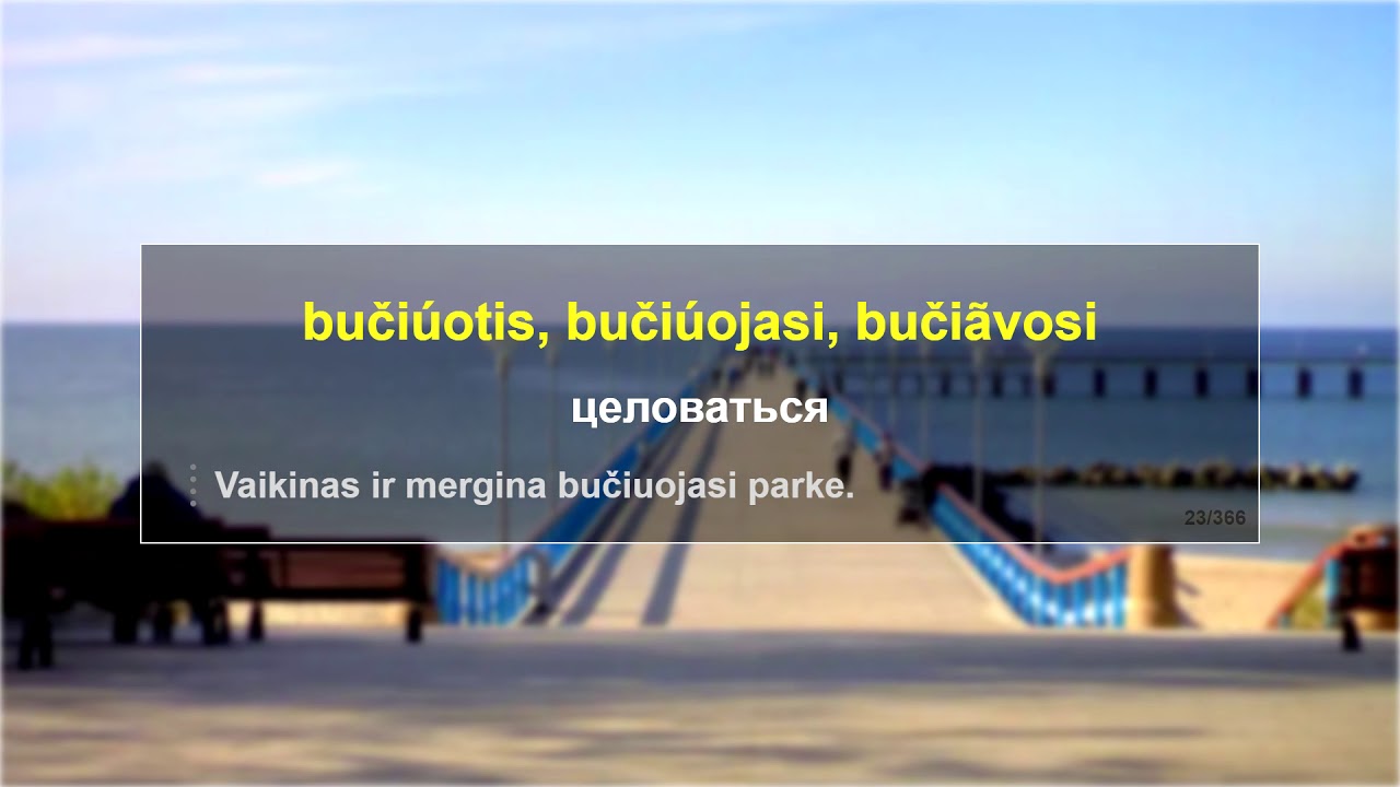 365 основных литовских глаголов