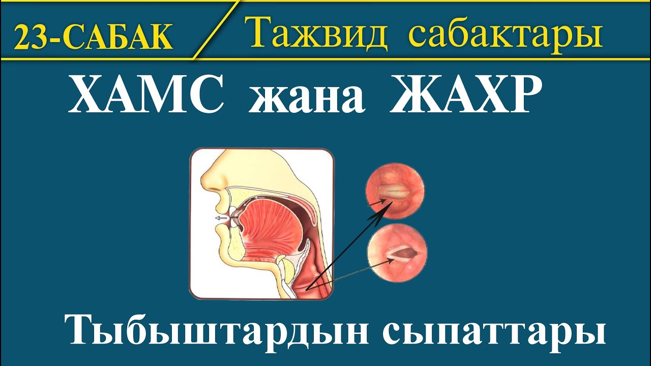 Тажвид сабактары: ХАМС жана ЖАХР І 23-сабак: Тыбыштардын сыпаттары