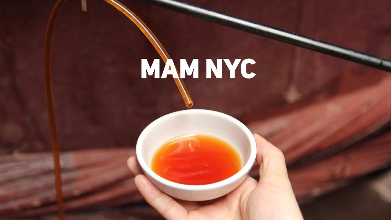 Why Mam is My #1 Vietnamese Restaurant in NYC (A Local's Take)