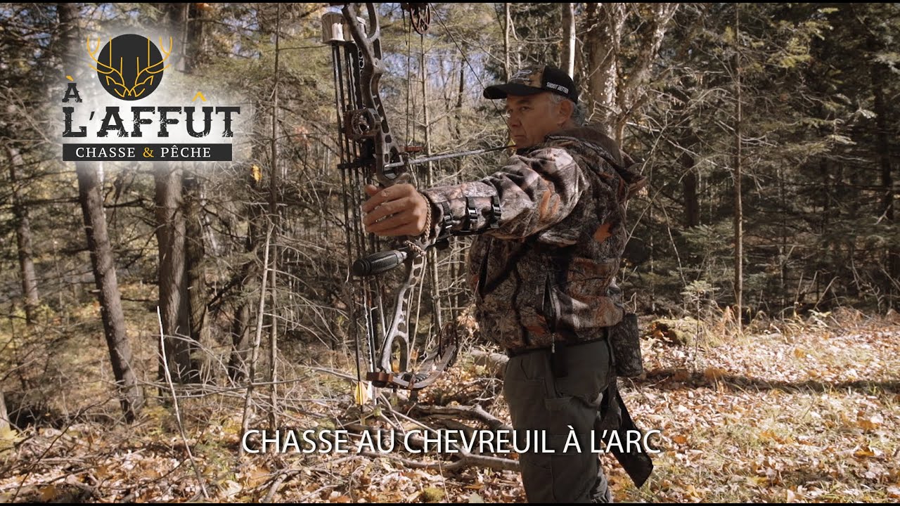 À l'affût: Chasse aux chevreuils à l'arc