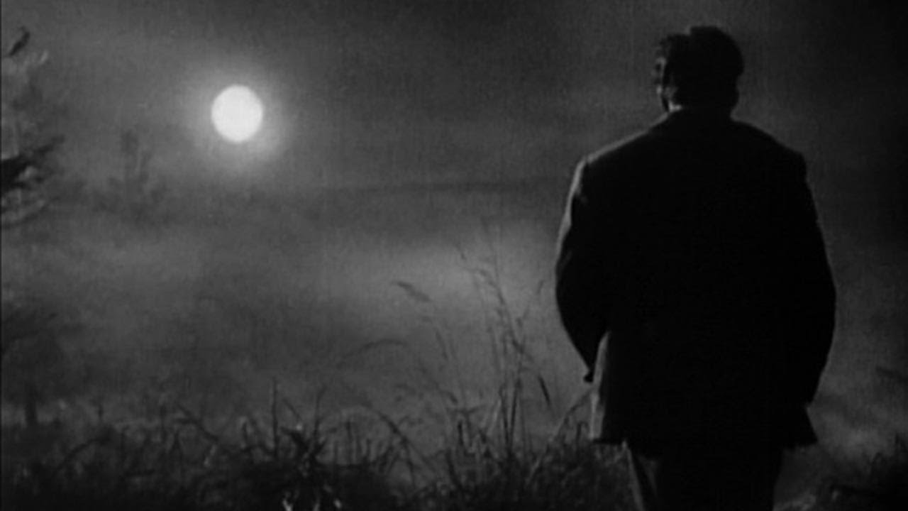 Murnau’s Sunrise: In Camera Effects and Effects Specialists (by film scholar Janet Bergstrom) - 2013