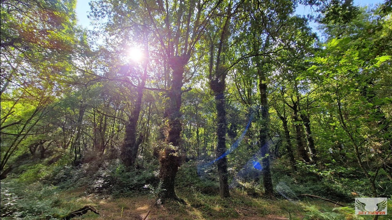 SENDERISMO EN LAS FRAGAS DE CATASOS -- LALÍN (GALICIA)
