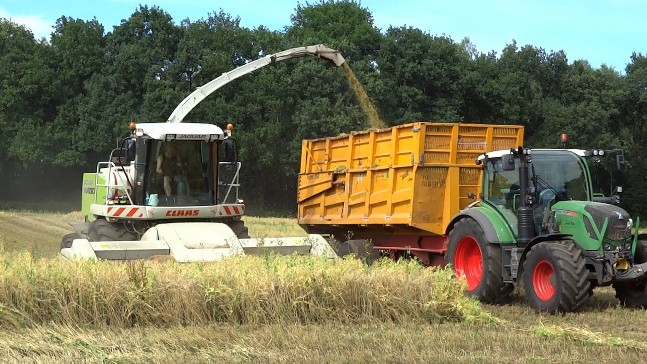 GPS Hakselen | Claas Jaguar 870 + Direct Disc 520 | CWV Lievelde | 2017