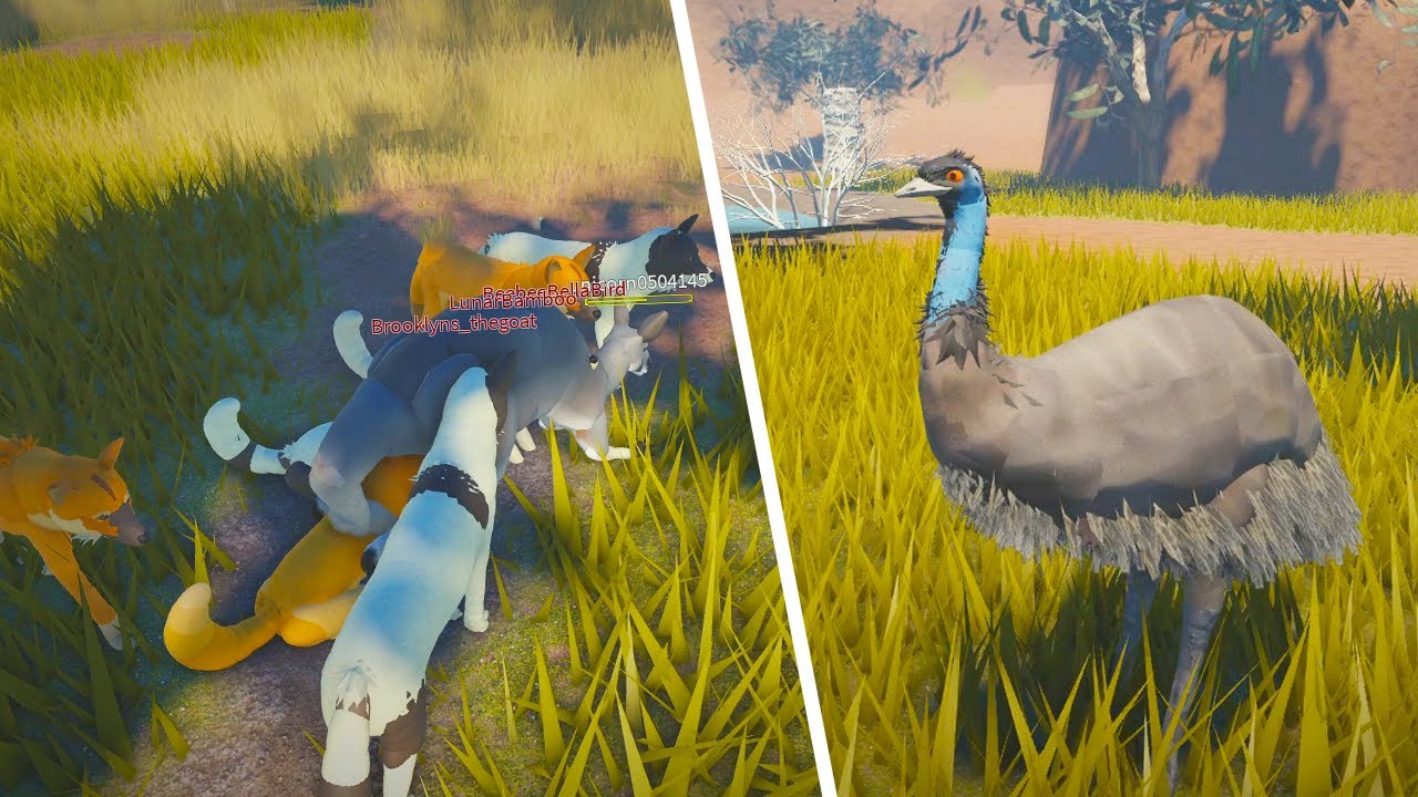 НОВАЯ игра Roblox про выживание австралийских животных | ROBLOX Wild Bushland