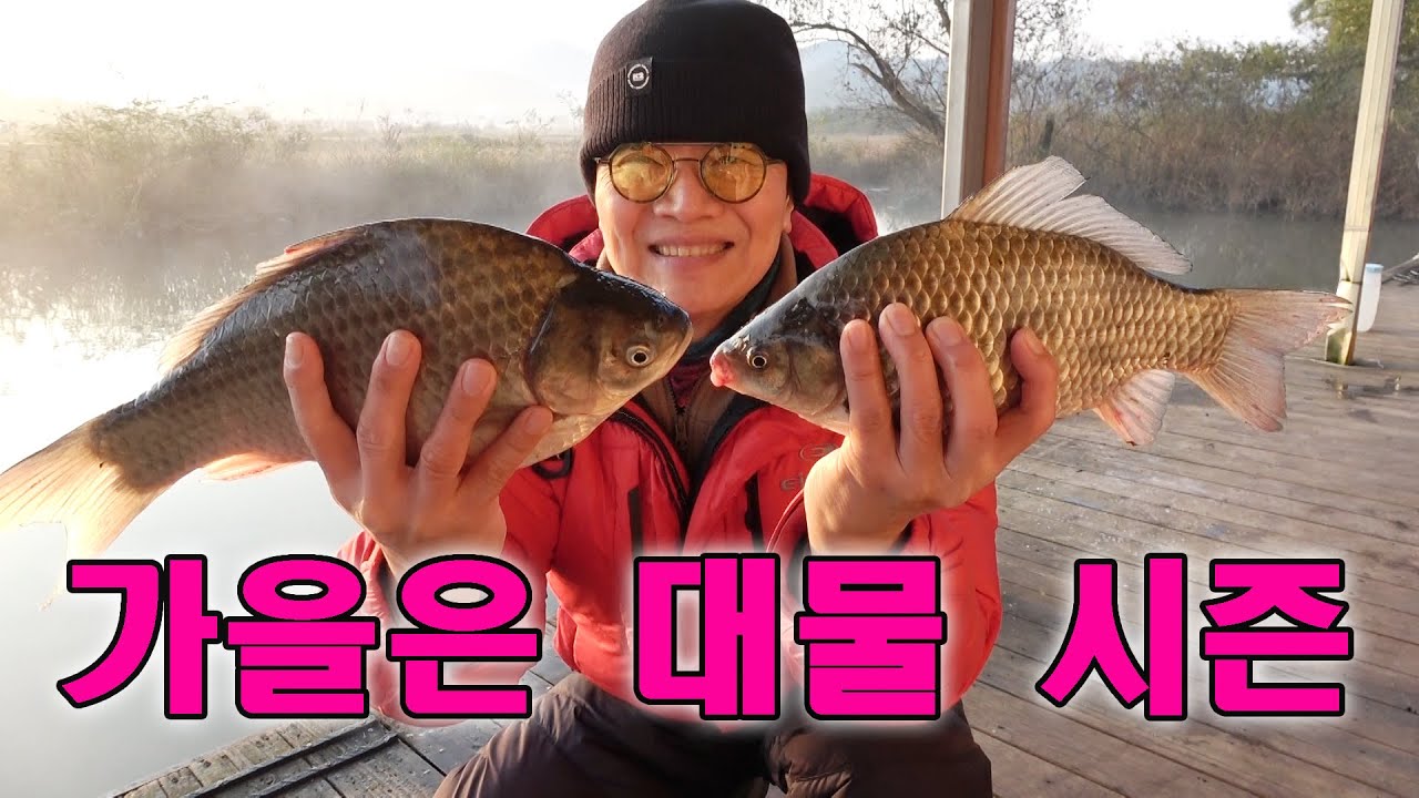 👍예당지에 대물들이 나온다,대물낚시시즌,도덕골좌대,두칸반의별밤,용인낚시쇼핑몰