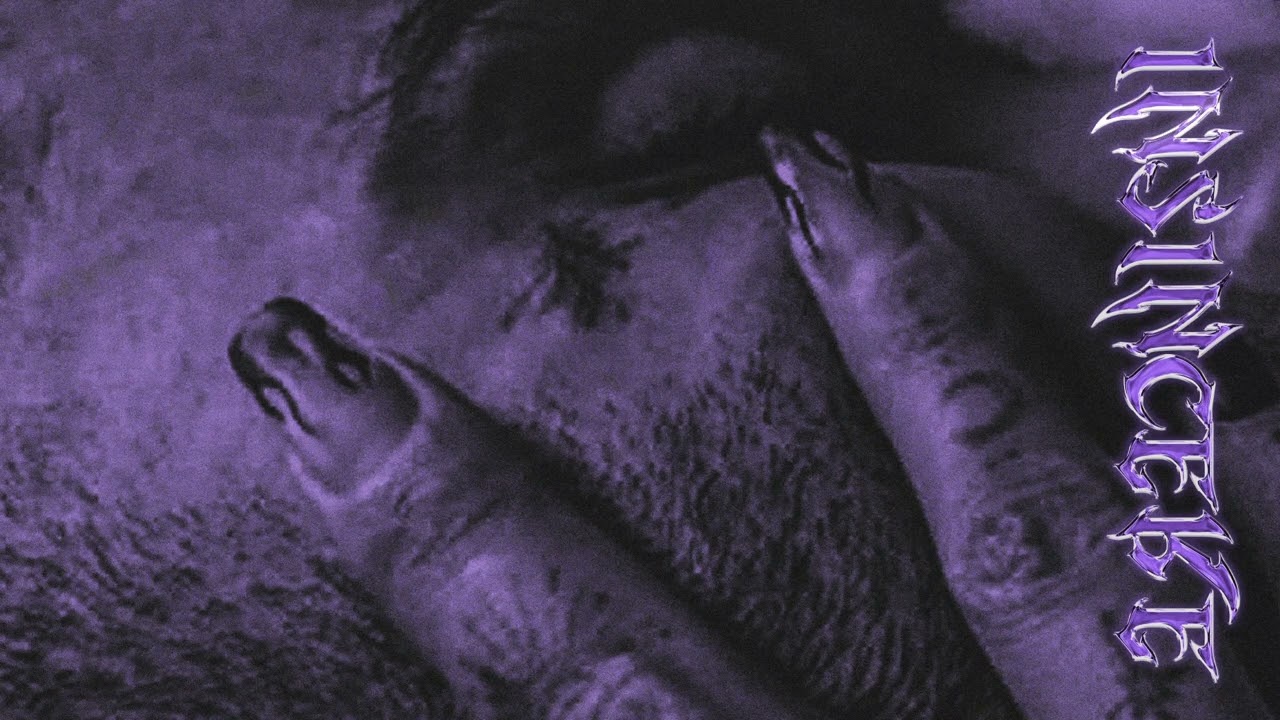 Dorcci - Insincere (Official Lyric Video)