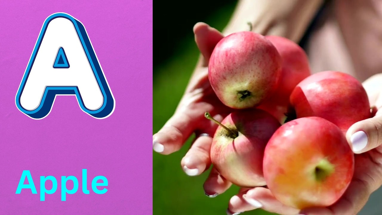 ABC Phonics Song | Alphabet letter sounds | ABC learning for toddlers | Education ABC Nursery Rhymes