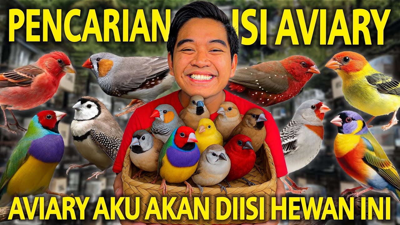 PENCARIAN ISI AVIARY! AVIARY AKU AKAN DIISI HEWAN INI! TERNYATA FINCH SEMENARIK INI! SEMPAK FINCH!