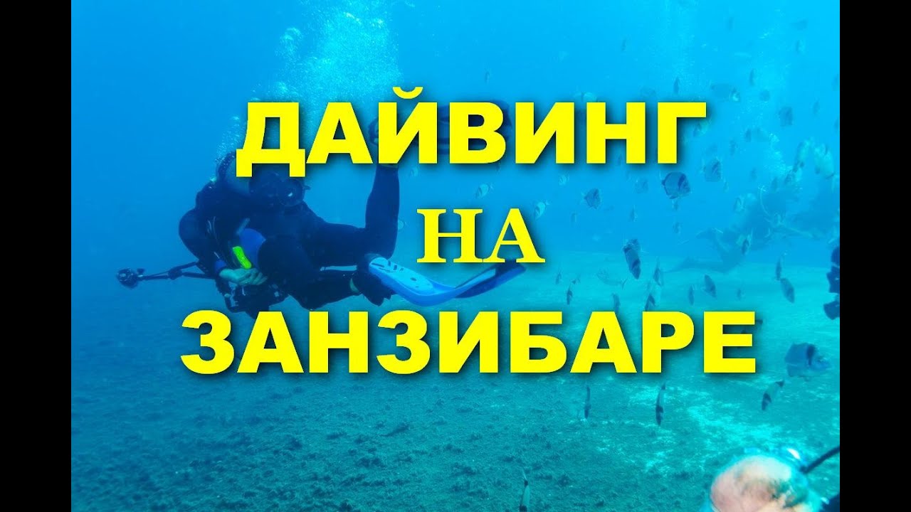 Дайвинг. Занзибар. Подводный мир.Дельфины. о.Мнемба март 2021.Diving Zanzibar Tanzania. MnembaIsland