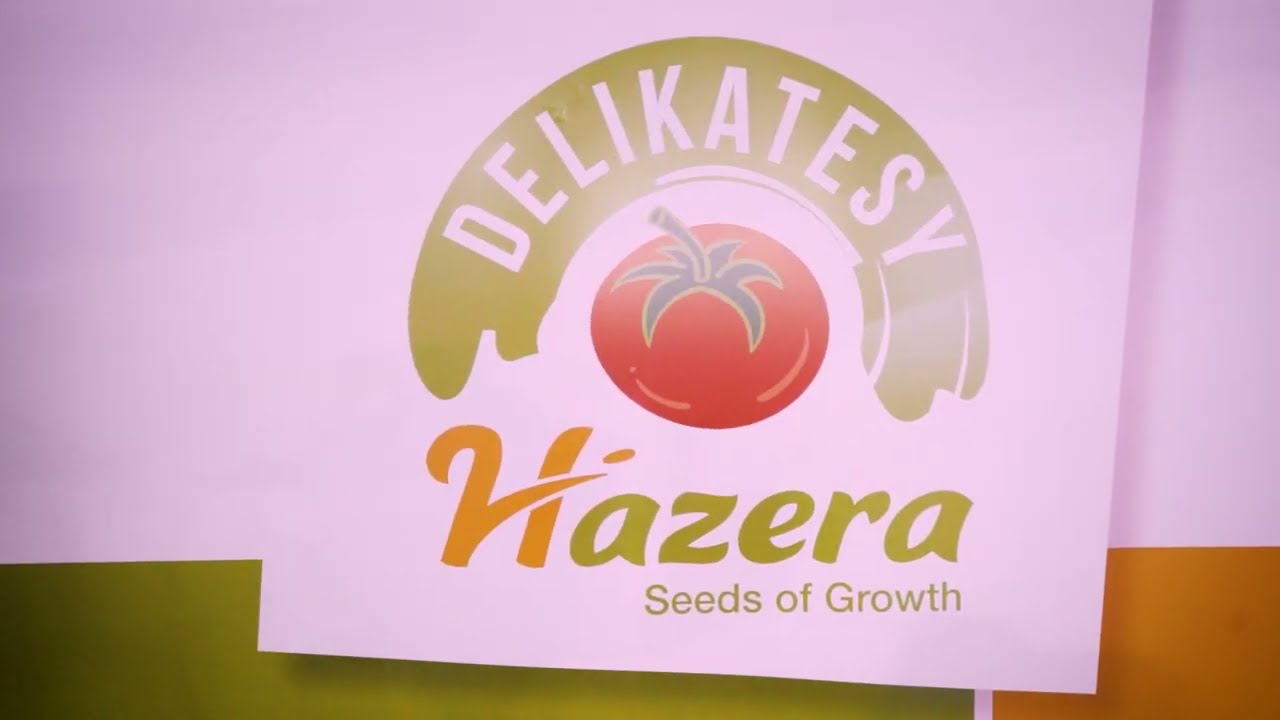 Nowości od Hazera na sezon 2022