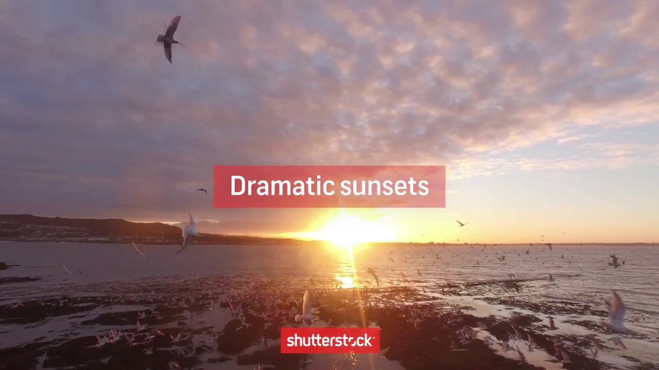 Sunlight Aerial Videos - DroneBase | Shutterstock