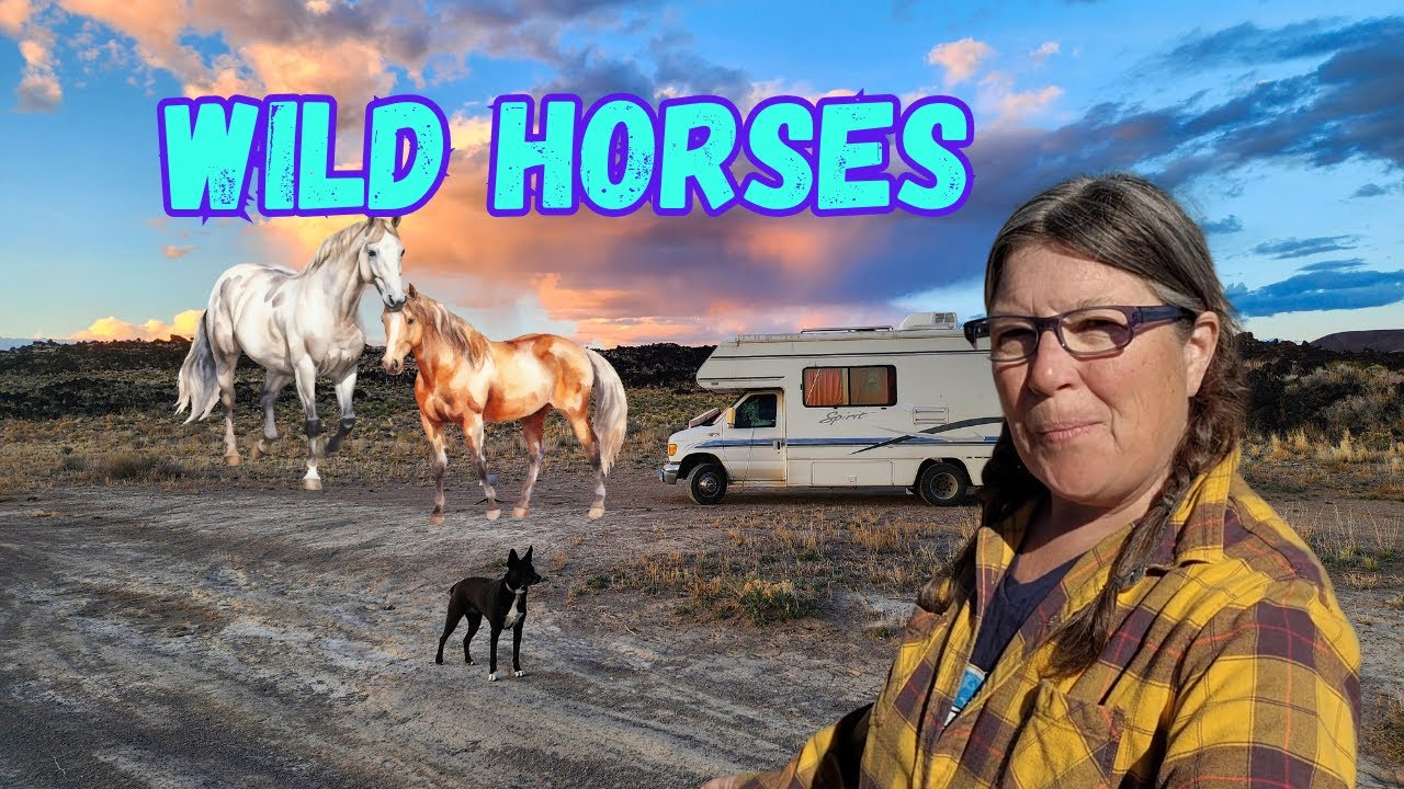More RV Repairs, Wild Horses and Visiting a Renaissance Village in Ely, NV