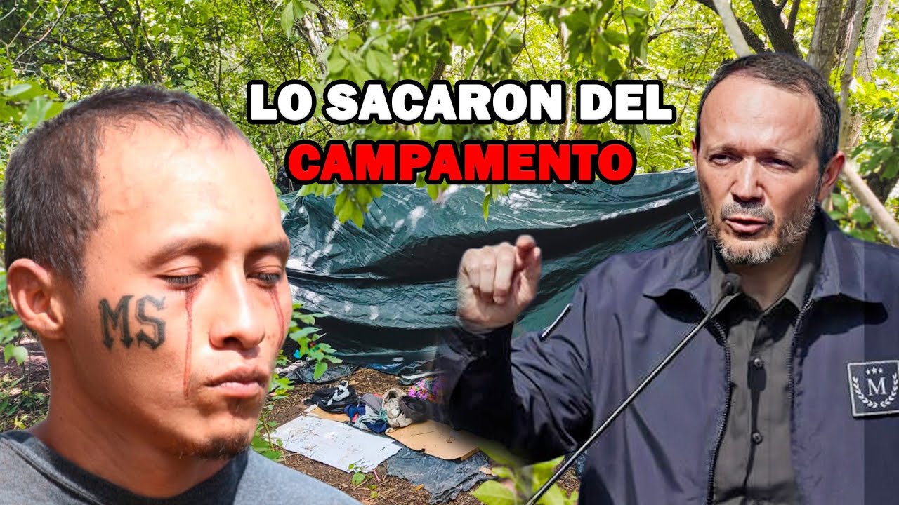 🚨😱 Así Cayeron los Tecla Locos Salvatruchos en San José Villanueva  Madriguera Destruida