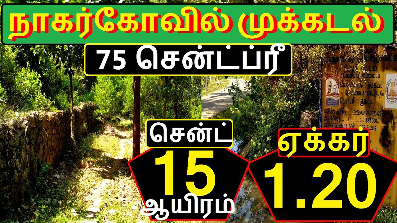 நாகர்கோவில் முக்கடல் 1.20 ஏக்கர்+75 சென்ட்ப்ரீ .சென்ட் 15 ஆயிரம்.ஜீப்,பைக் போகும் வசதி-318-021.02.03