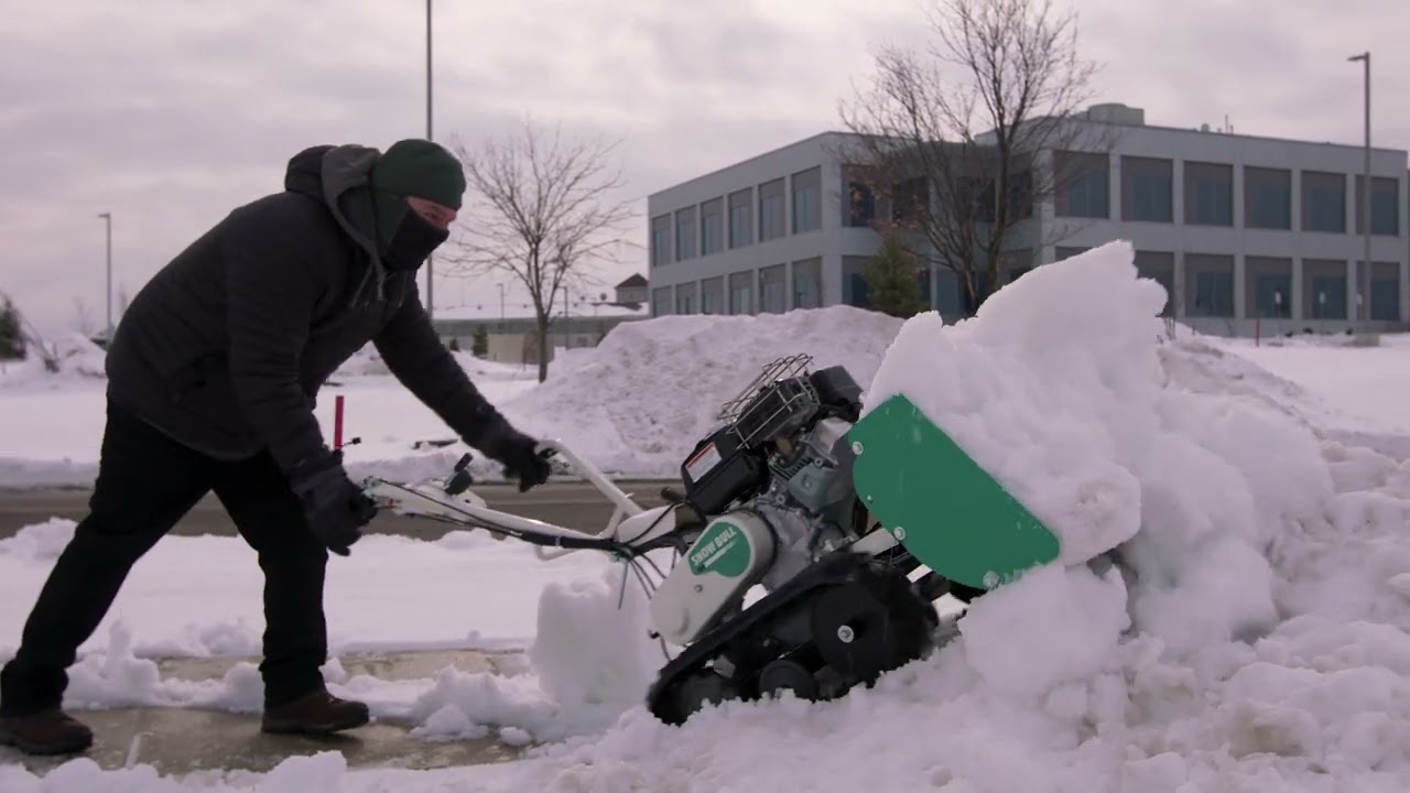 The Snow Bull Loves a Good Winter Storm