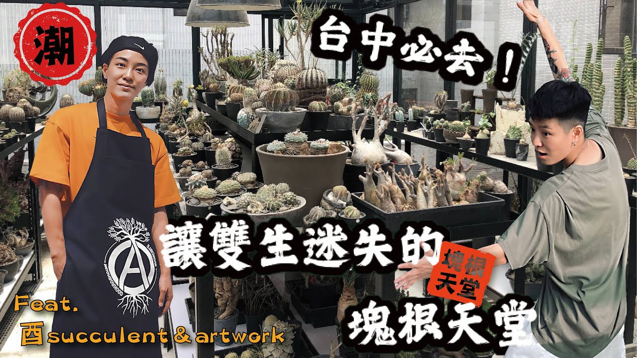 台中必去潮流勝地！讓雙生直接迷失自我的塊根天堂｜象牙宮、龜甲龍、caudex plants、嚴龍、象足漆樹｜Yin & Yei 雙生過日子 Feat. 酉 succulent & artwork