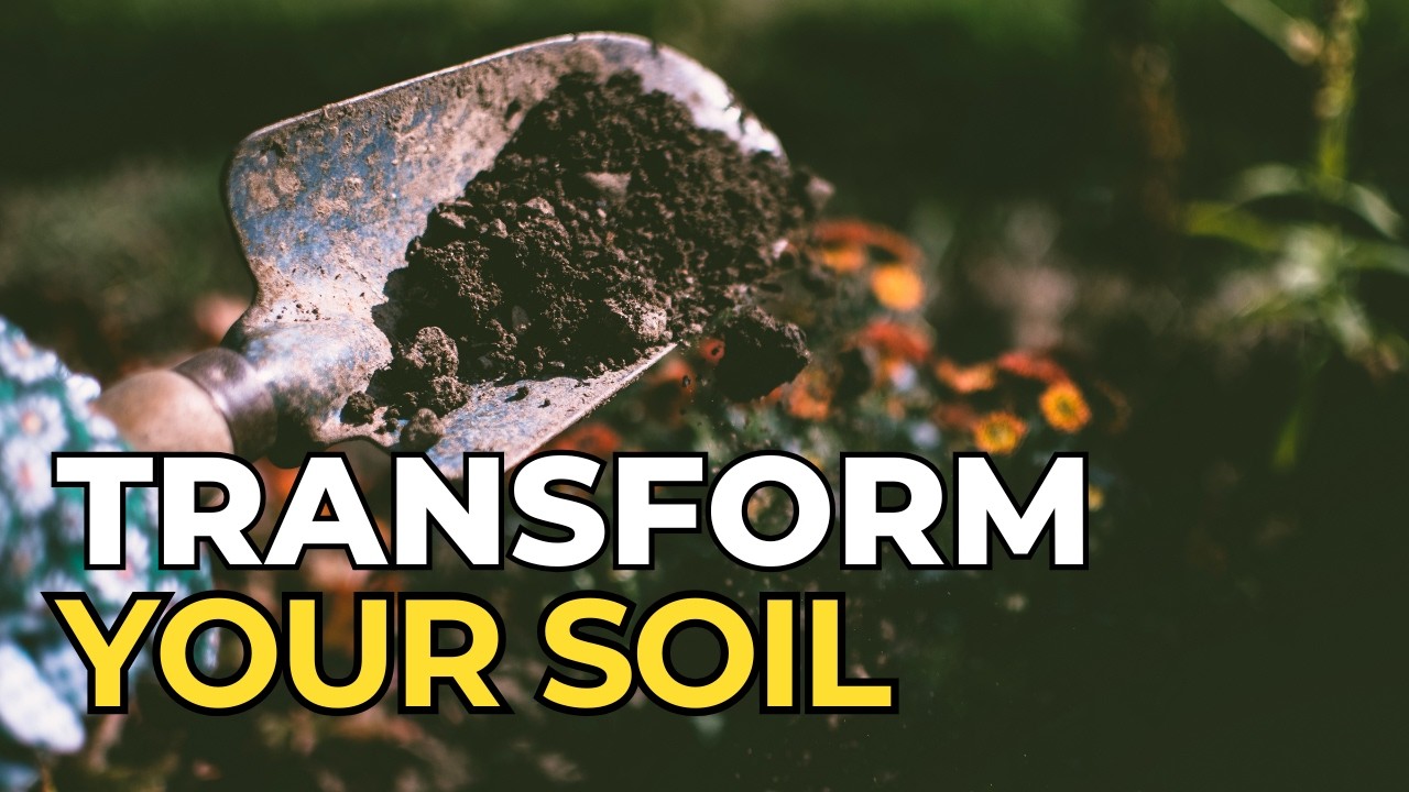 Regenerative Soil Practices That Will Transform Your Garden This Season