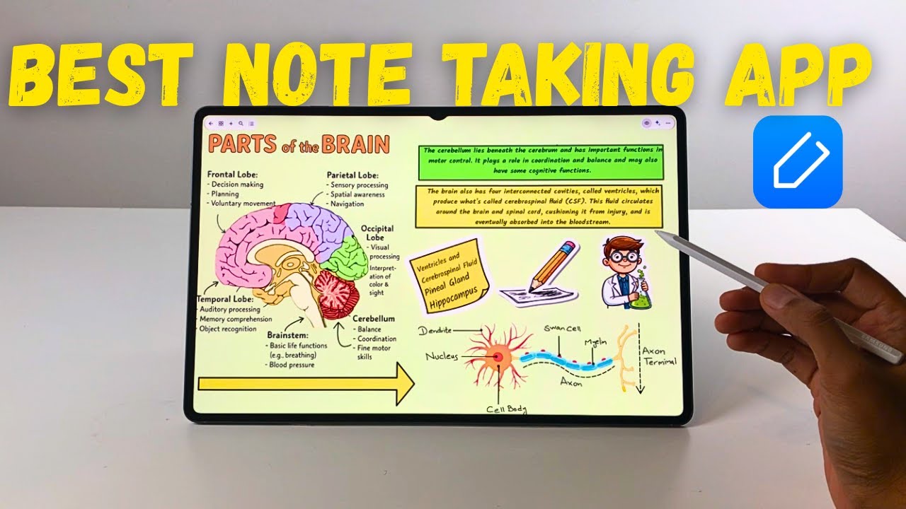 Notewise — лучшее приложение для создания заметок 2025 года: 15 лучших функций
