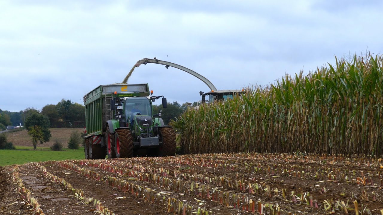 Mais Häckseln 2019 4K | Claas Jaguar 950 | Fendt Vario 724 | Fendt Vario 933 | Fendt Vario 927