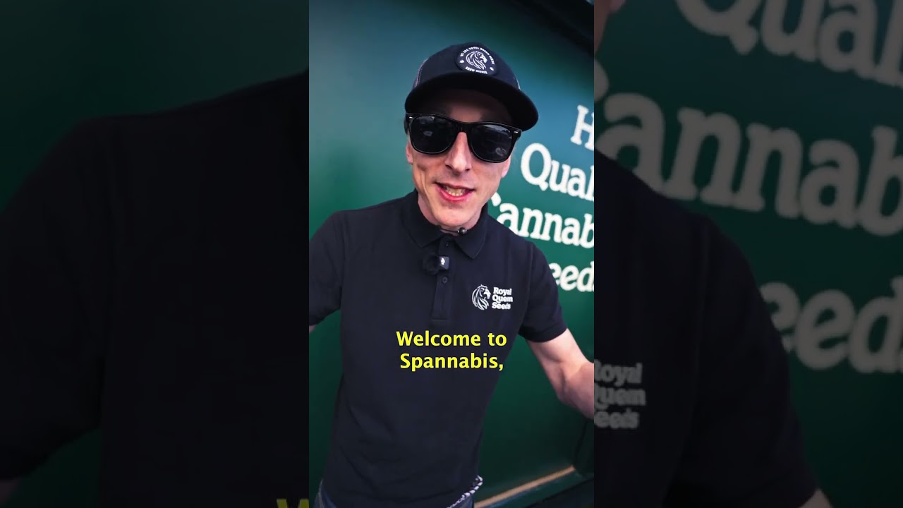 Royal Queen Seeds bringing energy to Spannabis 2025