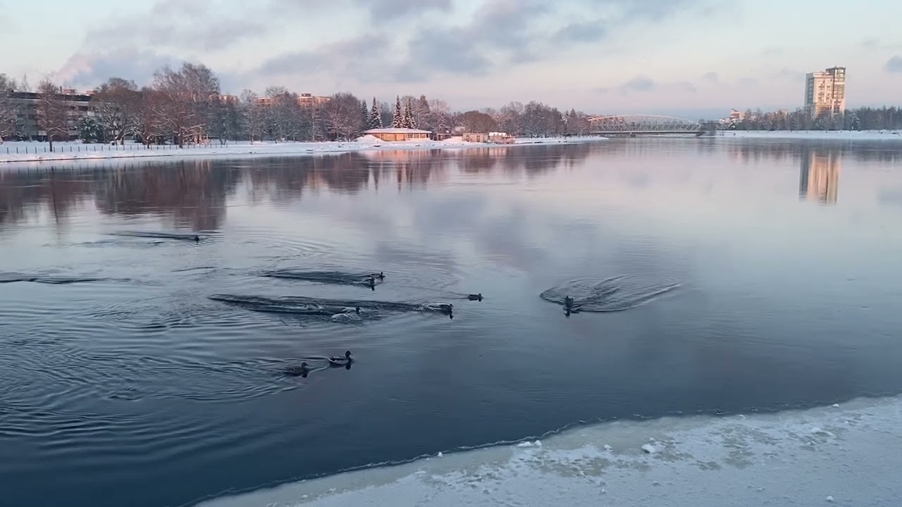 Kalevala Day