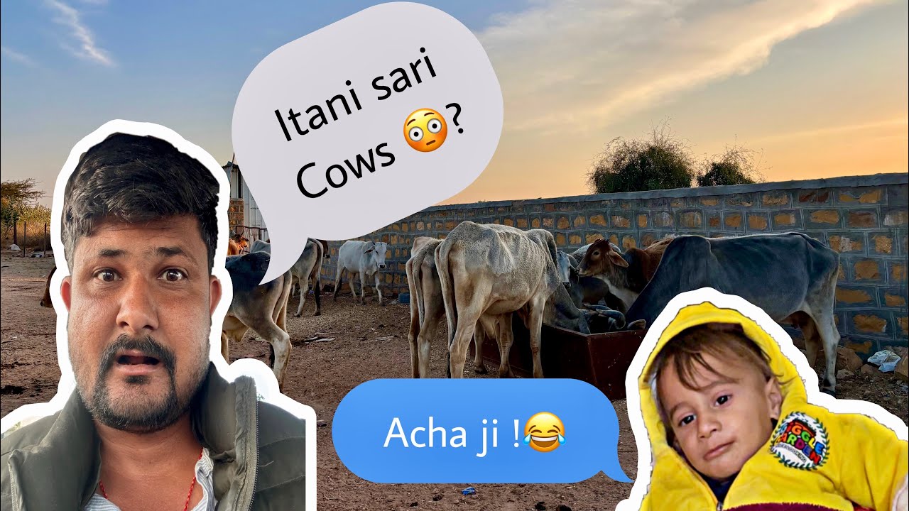 Bhanje ke Saath Masti, Khet Ka Safar aur Bahar Khadi Itni Sari Gaay 🐄😂 
