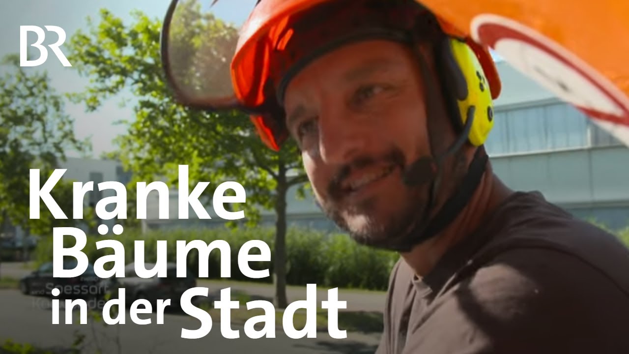 Bäume für die Stadt: Natur unter Druck in Erlangen | Klima | Zwischen Spessart und Karwendel | BR