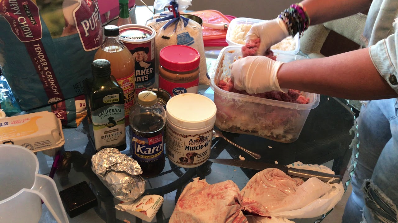 RAW DIET FOR OUR MICRO & POCKET BULLY’s (American Bully)