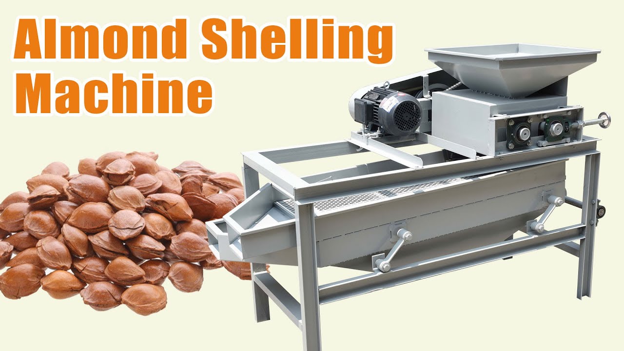 Almond Shelling Machine丨with a shelling rate of more than 98% #almondshelling #foodmachine #almond