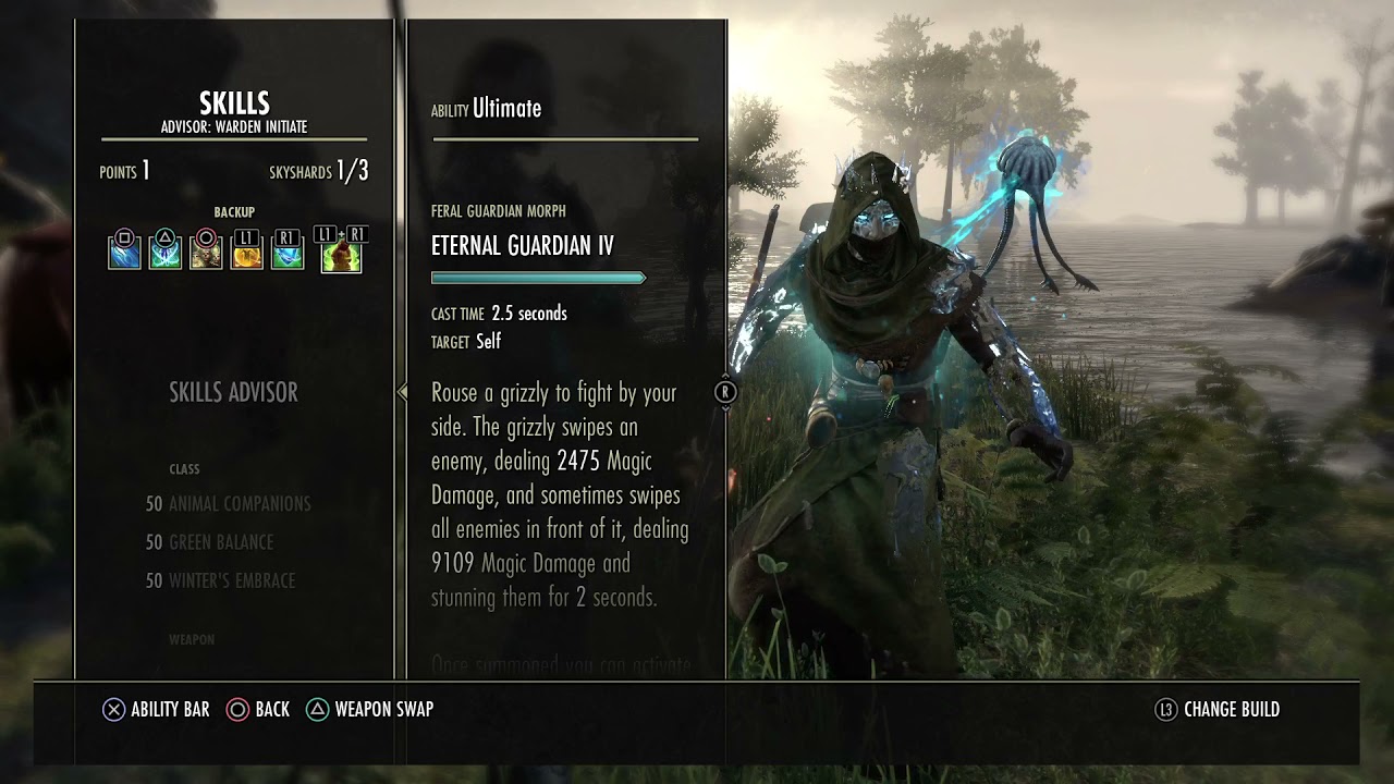 ESO: My slightly scuff but adjustable MagDen 1vX build.