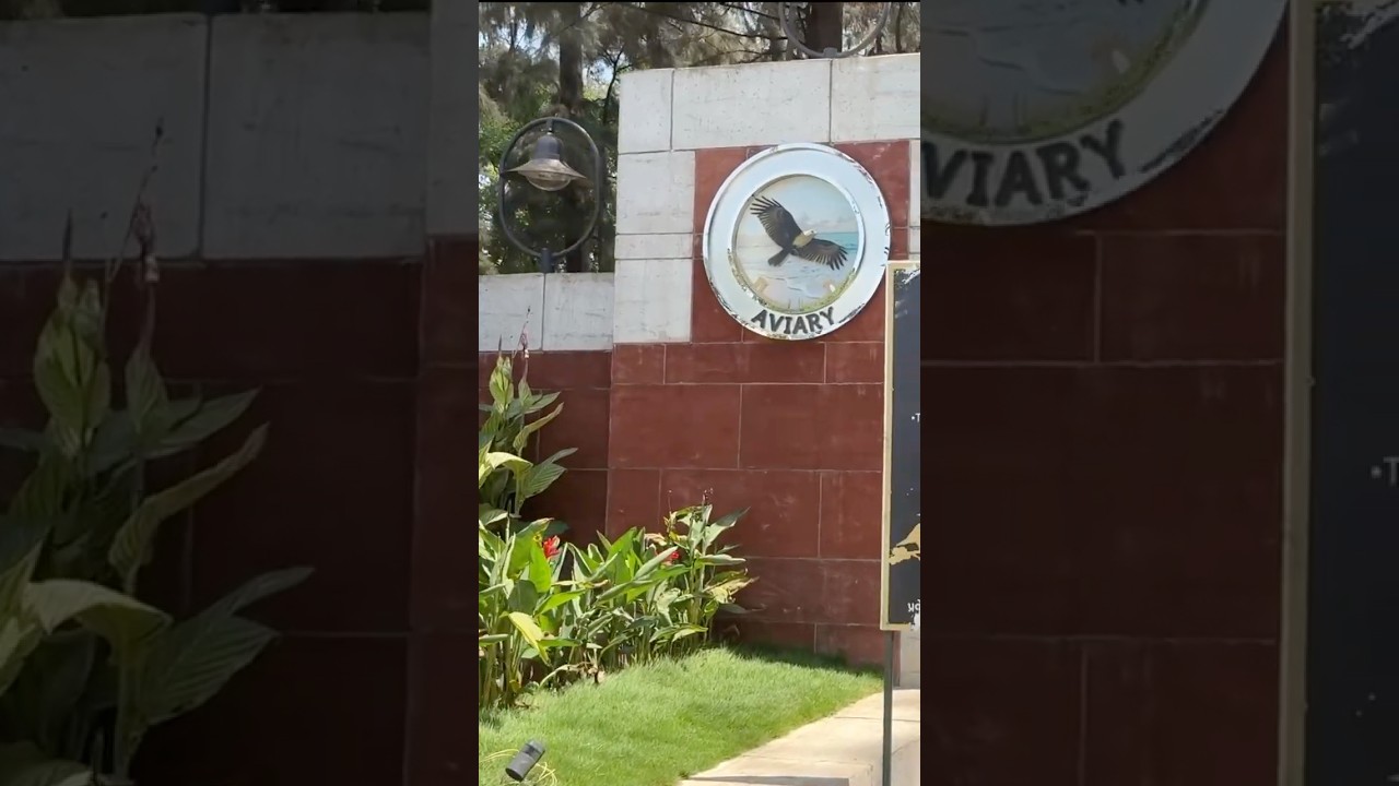 Daman Aviary 🦆🦜🕊️#daman #damanaviary #damantourism #travel #tpvlogx #damanbeach #jamporebeach