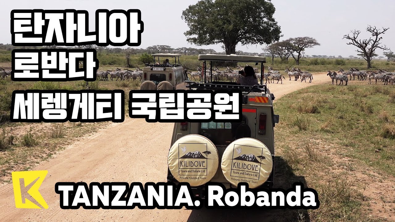 탄자니아 여행-로반다 [Tanzania Travel-Robanda] 세렝게티 국립공원/Serengeti National Park/Lodge/Hot-air balloon