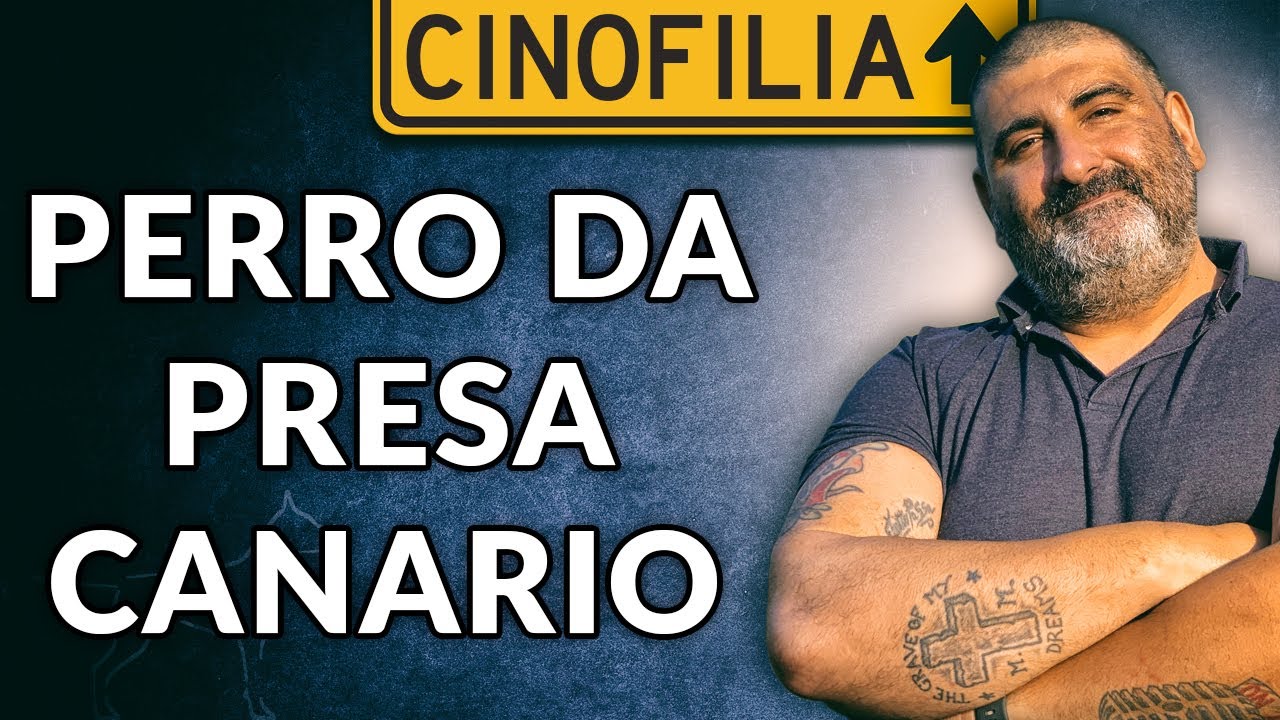 Perro da Presa Canario o Cane delle Canarie