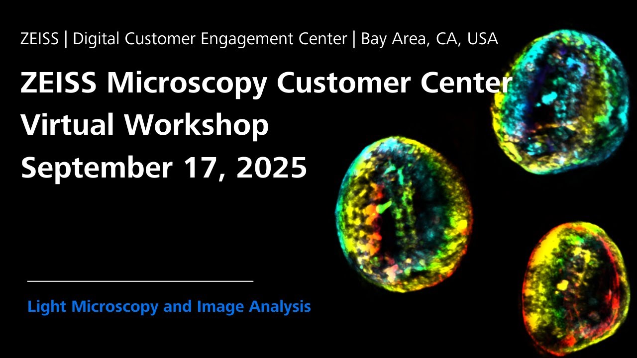 ZEISS Microscopy Customer Center | Virtual Workshop | Day 2 of 2 | September 17, 2025