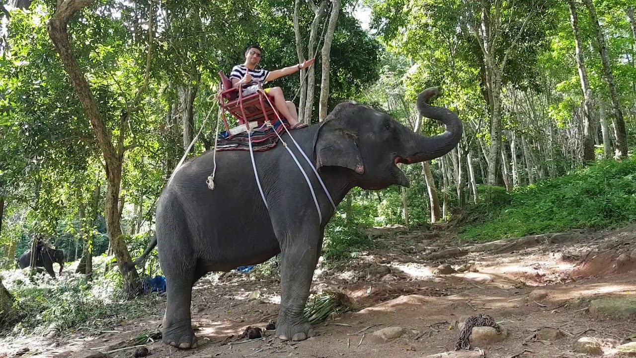 بوكيت، تايلند 2 | Phuket