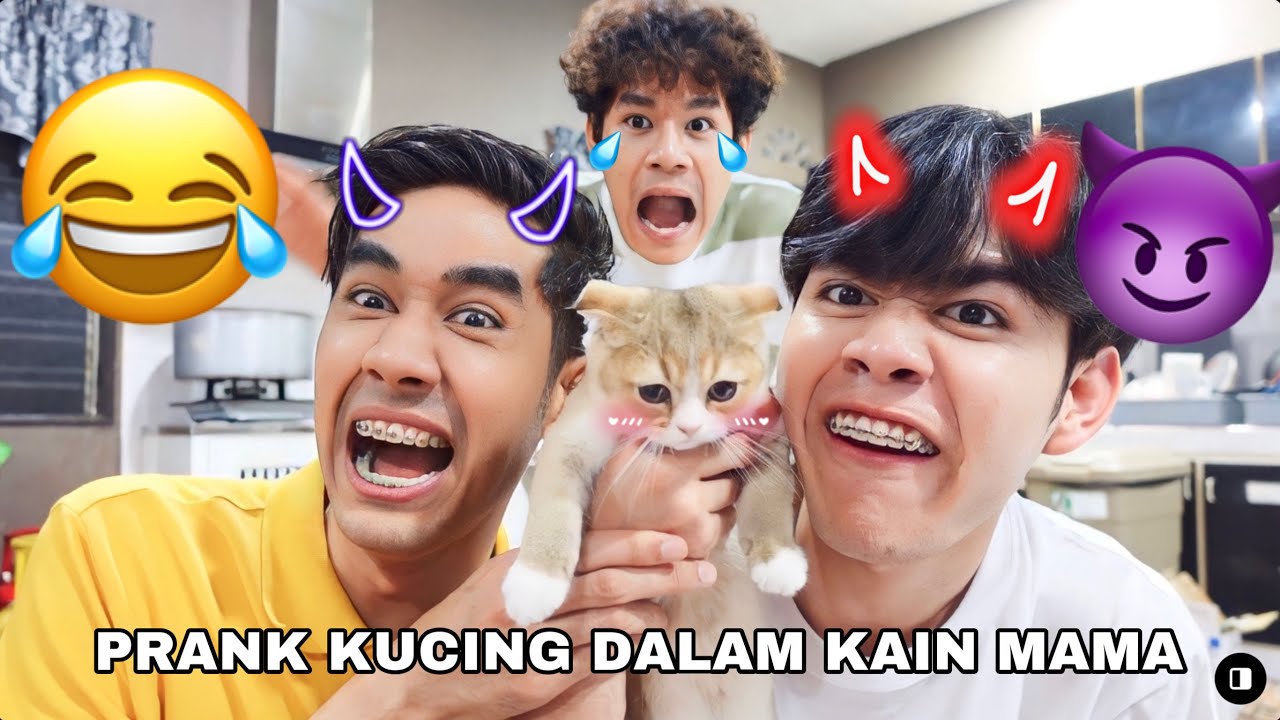 MAMA MARAH AQIL BELI KUCING 😭 AKIDDOS PRANK MASUKKAN KUCING DALAM KAIN MAMA 😈