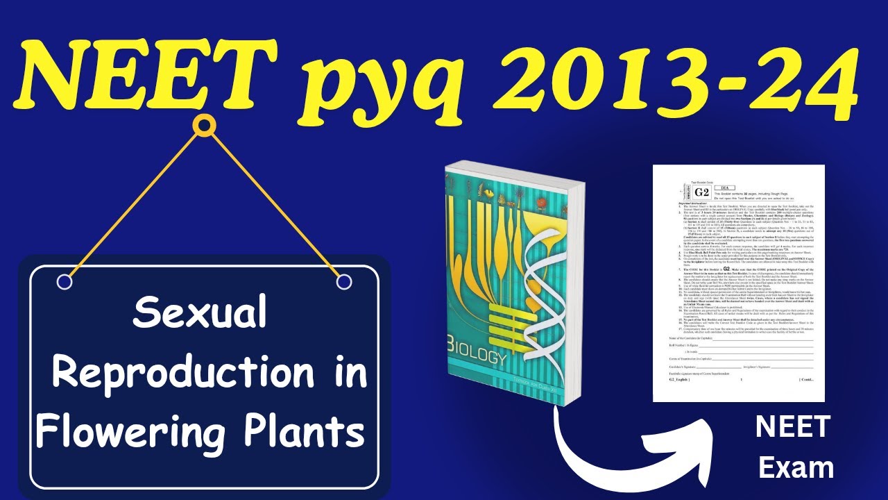 Sexual reproduction in flowering plants class 12 neet pyq from ncert 2013 to 2024