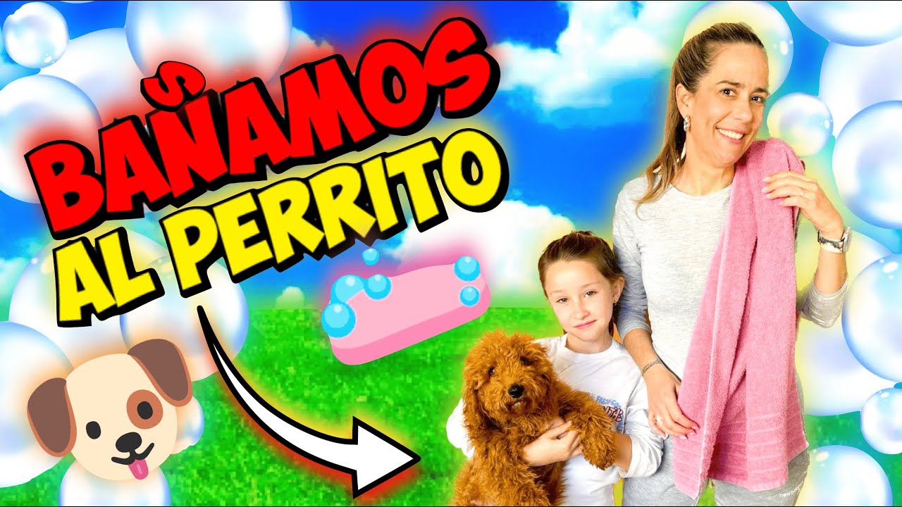 BAÑANDO A MI PERRITO POR PRIMERA VEZ 🧼🐶 Daniela DivertiGuay