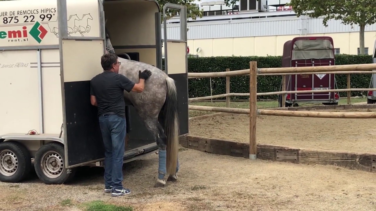 APRENDE A SUBIR TU CABALLO AL REMOLQUE EL YA SABE