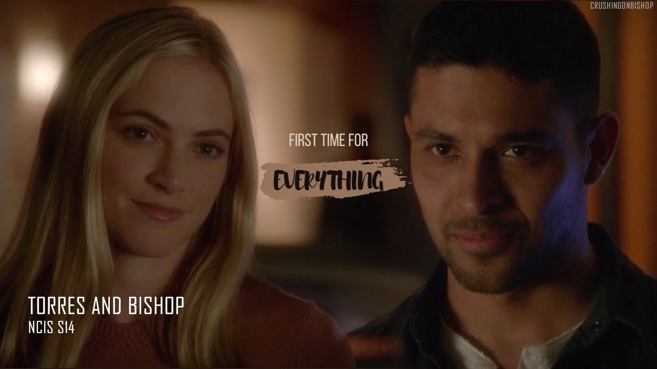 Ellie & Nick in NCIS Season 14 | The Start of Ellick