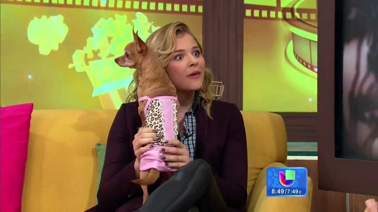 Chloë Moretz Carrie interview on Despierta América