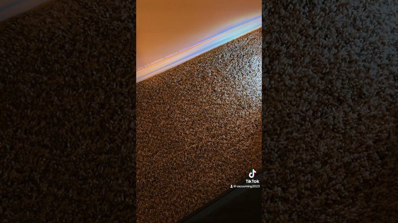Kenmore natural carpet vacuum asmr