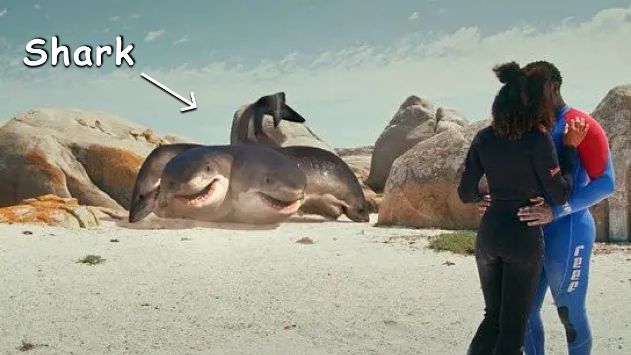 They Were on Holiday WHEN a 6-headed Shark Appeared